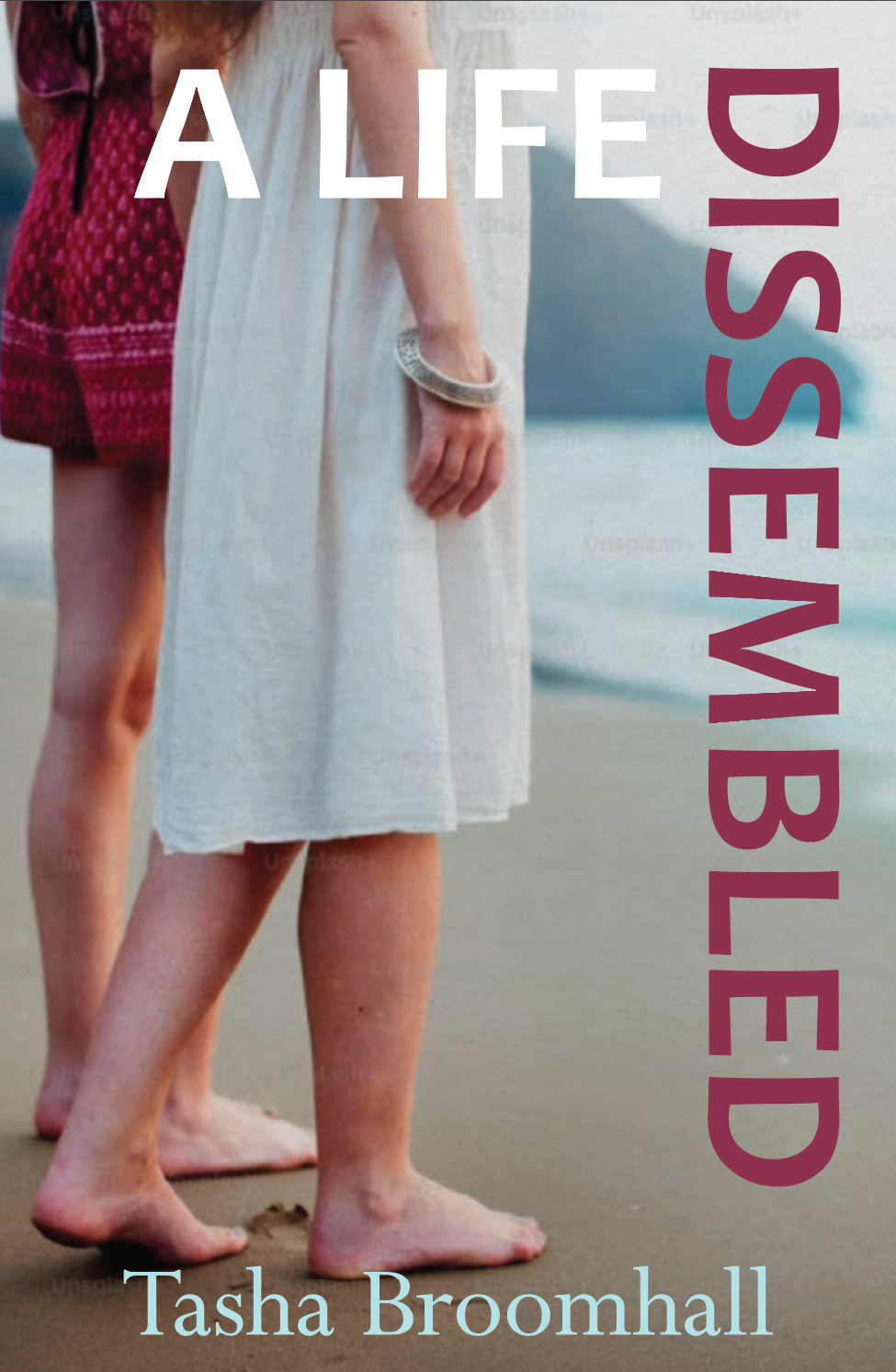 A Life Dissembled - Book Launch