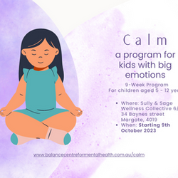 Calm - a program for kids with big emotions