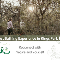 Forest Bathing Experience in Kings Park: Reconnect with Nature and Yourself