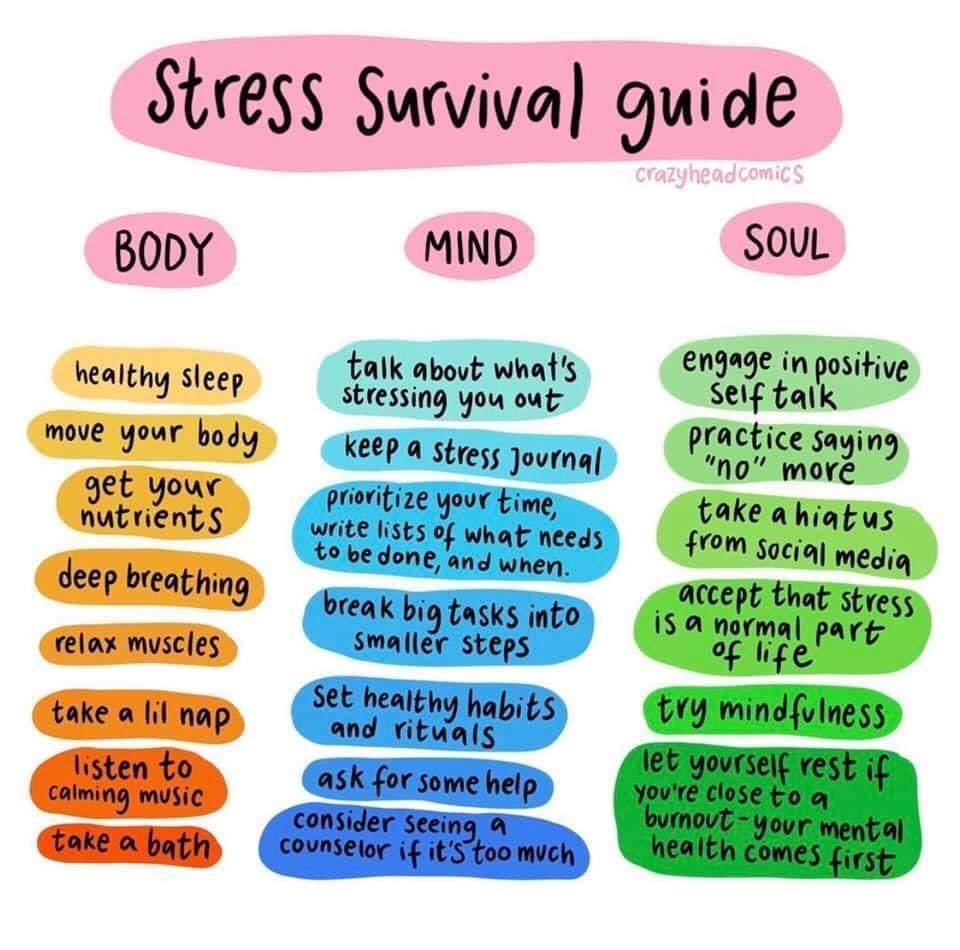 Survival Stress Guide